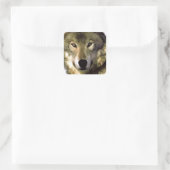 Wolf Portrait Vierkante Sticker (Tas)