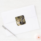 Wolf Portrait Vierkante Sticker (Envelop)