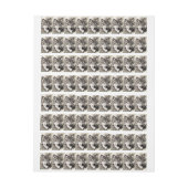 Wolf portret adreslabel wikkel (Vel)