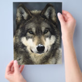 Wolf Portret Flyer (Hand)