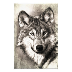 Wolf portret foto afdruk