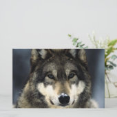Wolf Portret Stationery Briefpapier (Staand voorkant)