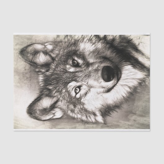 Wolf portret tissuepapier (Voorkant)