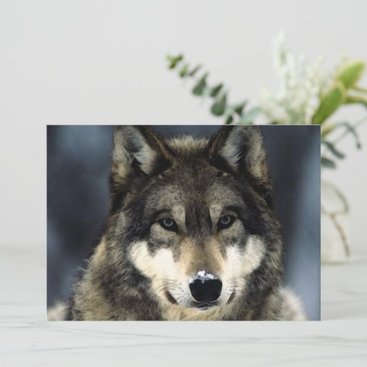 Wolf Portret Uitnodiging (Staand voorkant)
