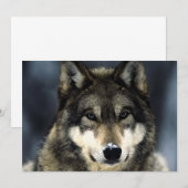 Wolf Portret Uitnodiging (Voorkant / Achterkant)