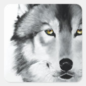 Wolf Portret Zwart Wit Vierkante Sticker (Voorkant)