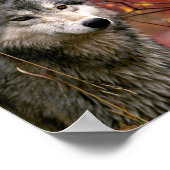 Wolf Poster (Hoek)