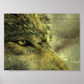 Wolf Poster (Voorkant)