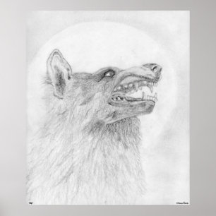 Wolf Poster