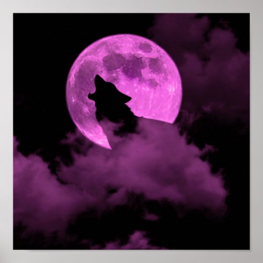 wolf poster (Voorkant)