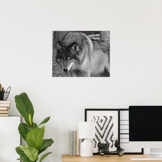Wolf Poster (Thuiskantoor)