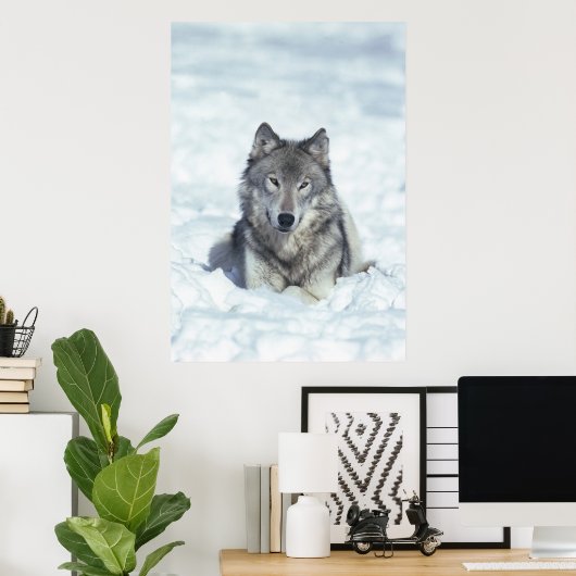Wolf Poster (Thuiskantoor)