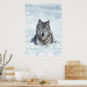 Wolf Poster (Keuken)