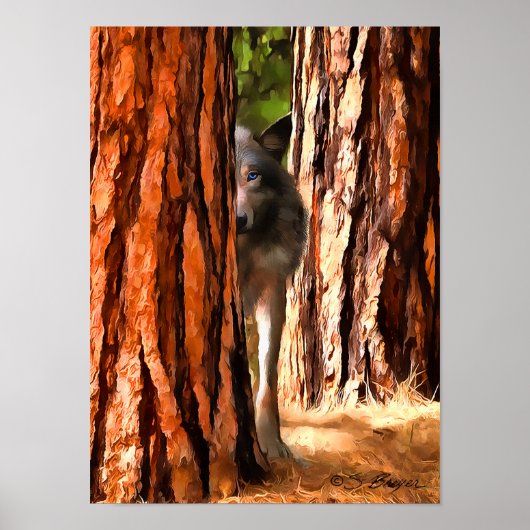 Wolf poster (Voorkant)