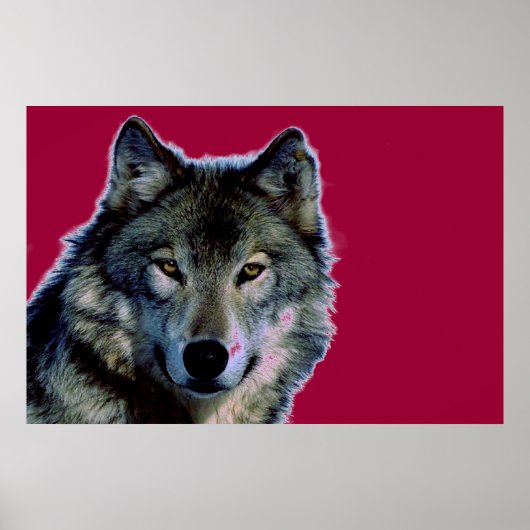 Wolf Poster (Voorkant)