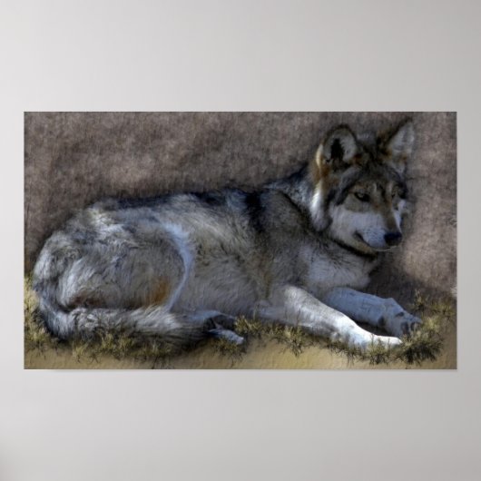 Wolf Poster (Voorkant)
