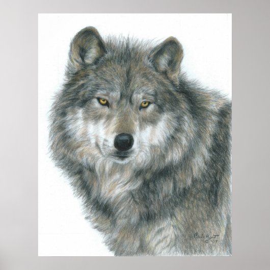 Wolf Poster door kunstenaar Carla Kurt (Voorkant)