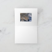 Wolf_pup_closeup Kaart (Binnen)