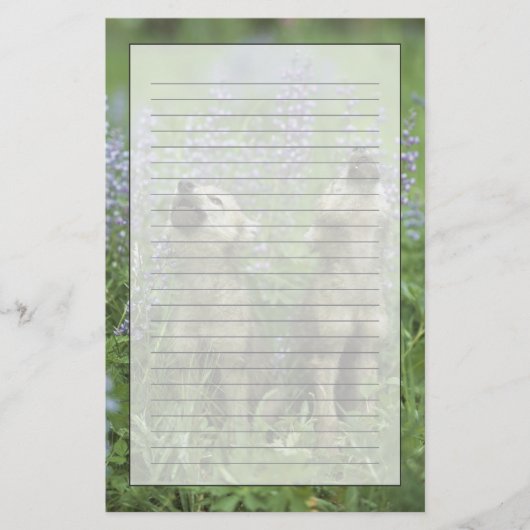 Wolf Puppies die in de weide gijzelen Briefpapier (Voorkant)