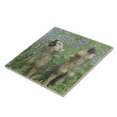 Wolf Puppies die in de weide gijzelen Tegeltje (Zijkant)