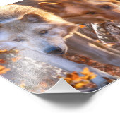 Wolf Puppy AUTUMN COLORS Foto Afdruk (Hoek)