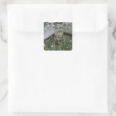Wolf Puppy onder het logbestand Vierkante Sticker (Tas)
