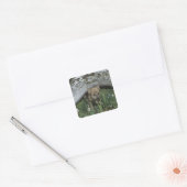 Wolf Puppy onder het logbestand Vierkante Sticker (Envelop)