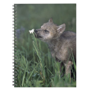 Wolf Puppy Sniffing Mountain Wildflower Notitieboek