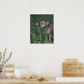 Wolf Puppy Sniffing Mountain Wildflower Poster (Keuken)