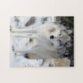 Wolf Puzzle 11-inch x 14-inch 252-stuk met cadeaud Legpuzzel (Horizontaal)