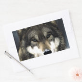 Wolf Rechthoekige Sticker (Envelop)