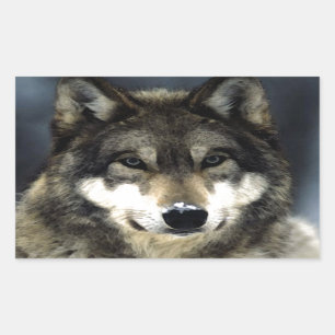 Wolf Rechthoekige Sticker
