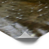 Wolf Reflection Poster (Hoek)