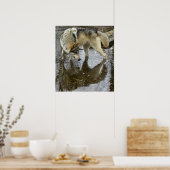 Wolf Reflection Poster (Keuken)