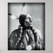 Wolf Robe - Cheyenne 1904 Poster (Voorkant)