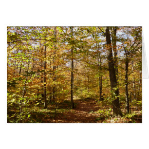 Wolf Rocks Trail in herfst landschap van Pennsylva