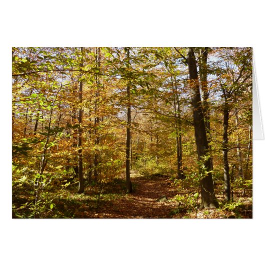 Wolf Rocks Trail in herfst landschap van Pennsylva (Voorkant Horizontaal)