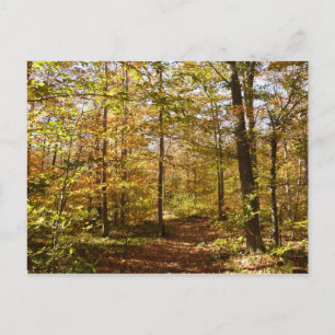Wolf Rocks Trail in herfst landschap van Pennsylva Briefkaart