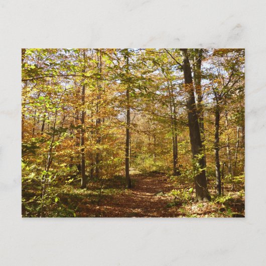 Wolf Rocks Trail in herfst landschap van Pennsylva Briefkaart (Voorkant)
