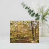Wolf Rocks Trail in herfst landschap van Pennsylva Briefkaart (Staand voorkant)