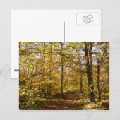 Wolf Rocks Trail in herfst landschap van Pennsylva Briefkaart (Voorkant / Achterkant)