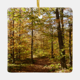 Wolf Rocks Trail in herfst Pennsylvania landschap Keramisch Ornament