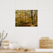 Wolf Rocks Trail in herfst Pennsylvania landschap Poster (Keuken)