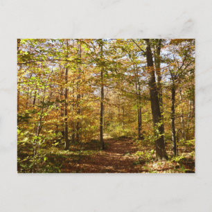 Wolf Rocks Trail in het Autumn Pennsylvania Landsc Briefkaart
