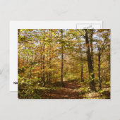 Wolf Rocks Trail in het Autumn Pennsylvania Landsc Briefkaart (Voorkant / Achterkant)