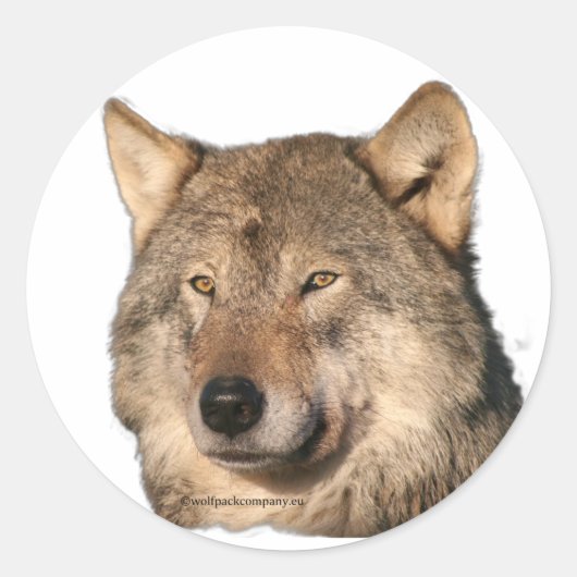 wolf ronde sticker (Voorkant)