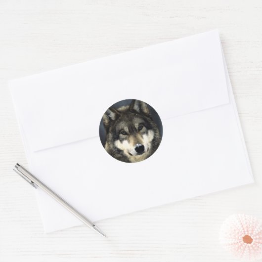 Wolf Ronde Sticker (Envelop)