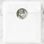 Wolf Ronde Sticker (Tas)