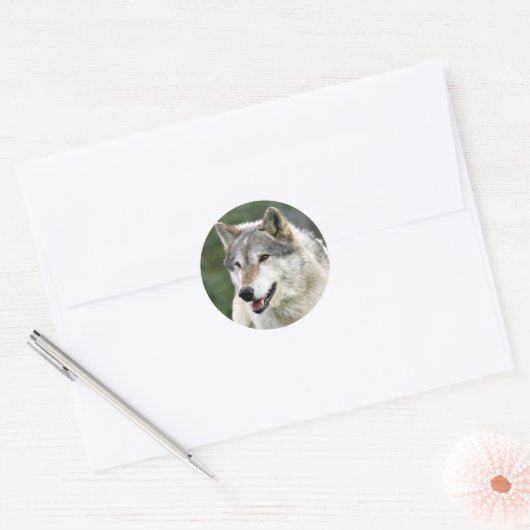 Wolf Ronde Sticker (Envelop)