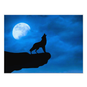 Wolf 's nachts foto afdruk